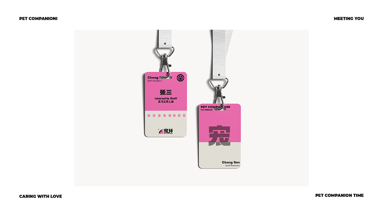 宠伴品牌提案