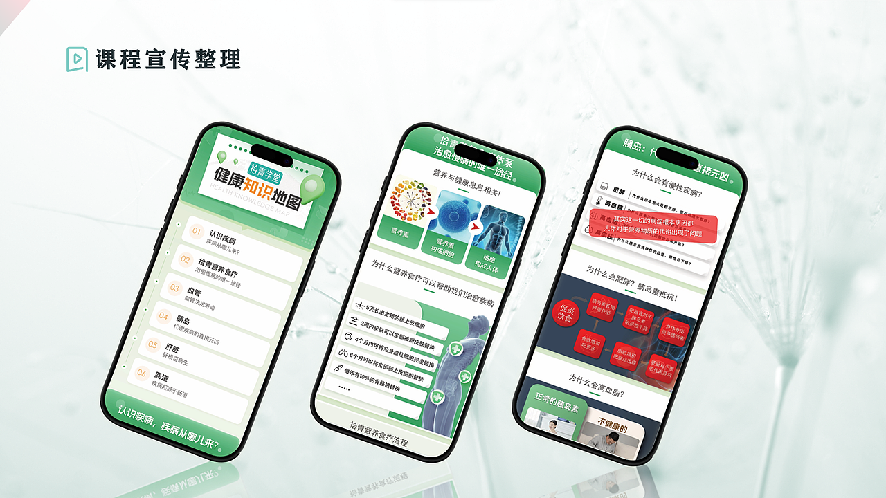 拾青学堂-营养课件设计过程