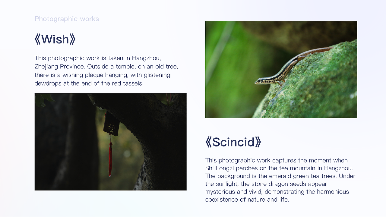 Portfolio-ZhangChunyang