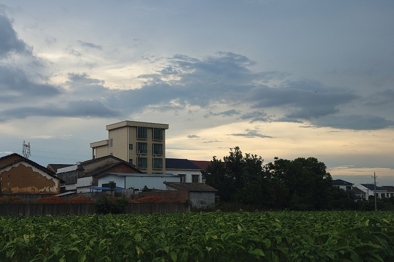 回家路上的烟草（图ZMzk2NjI1MDI4） - 风光摄影 - 站酷设计师Pepper丶Zues原创素材 - 站酷ZCOOL