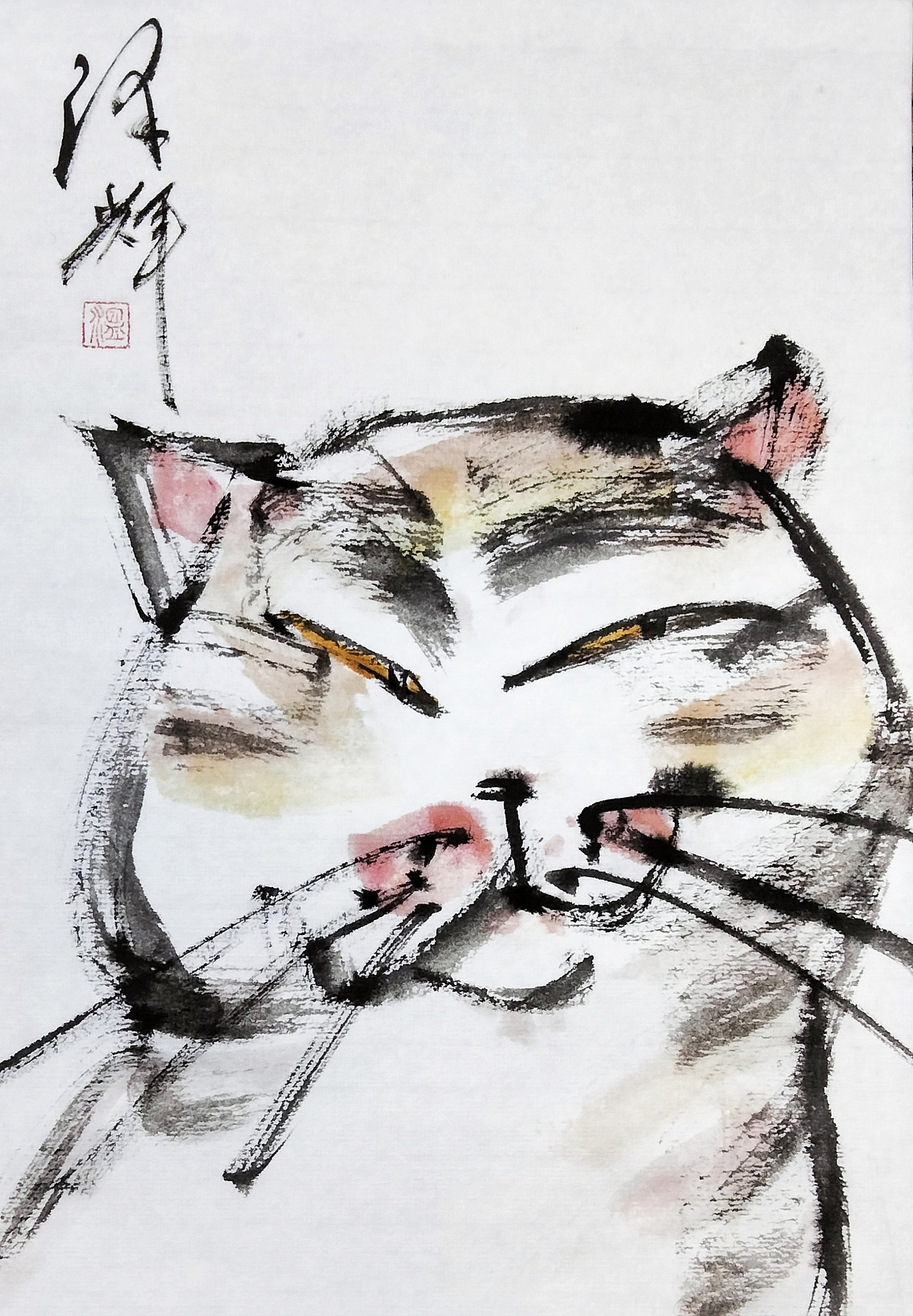 画家温泽辉:用潦草笔触,绘就猫咪的灵动世界