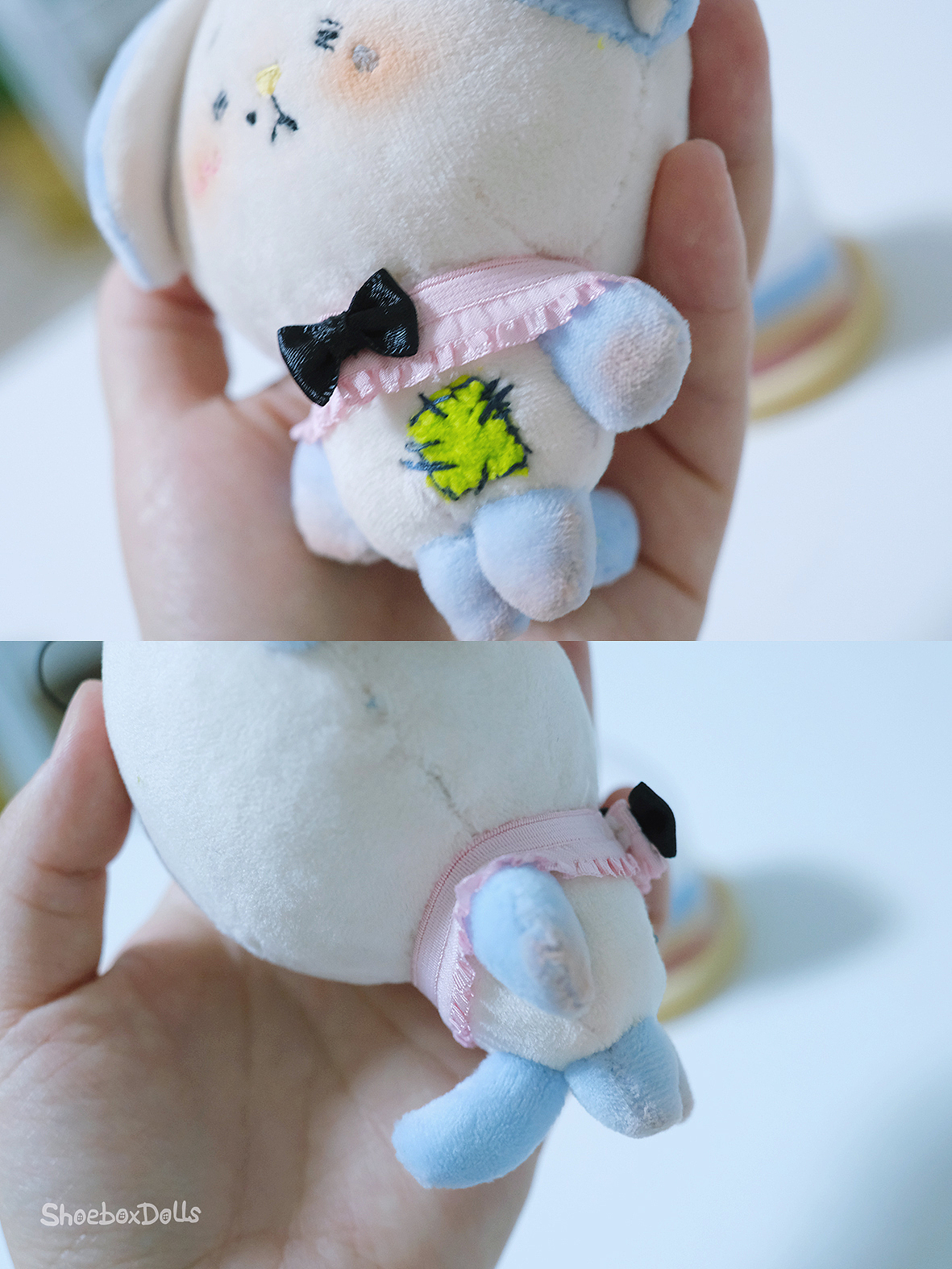 NO.38 有礼貌的小狗会吃干净每一根骨头