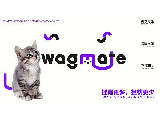 宠物猫粮品牌全案设计