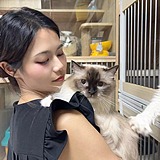 安仔的优秀作品的头像