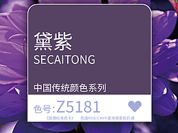 国潮标准色卡-黛紫 色号-Z5181「色彩通」