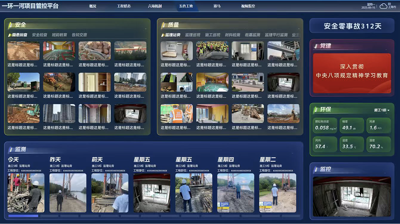 项目管控平台,客户要的【五彩斑斓】来啦