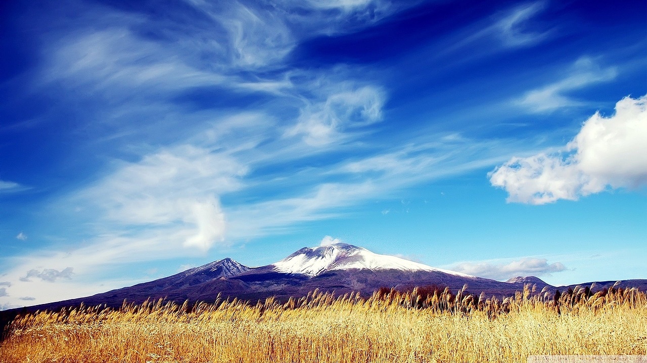 今天心情不错哦