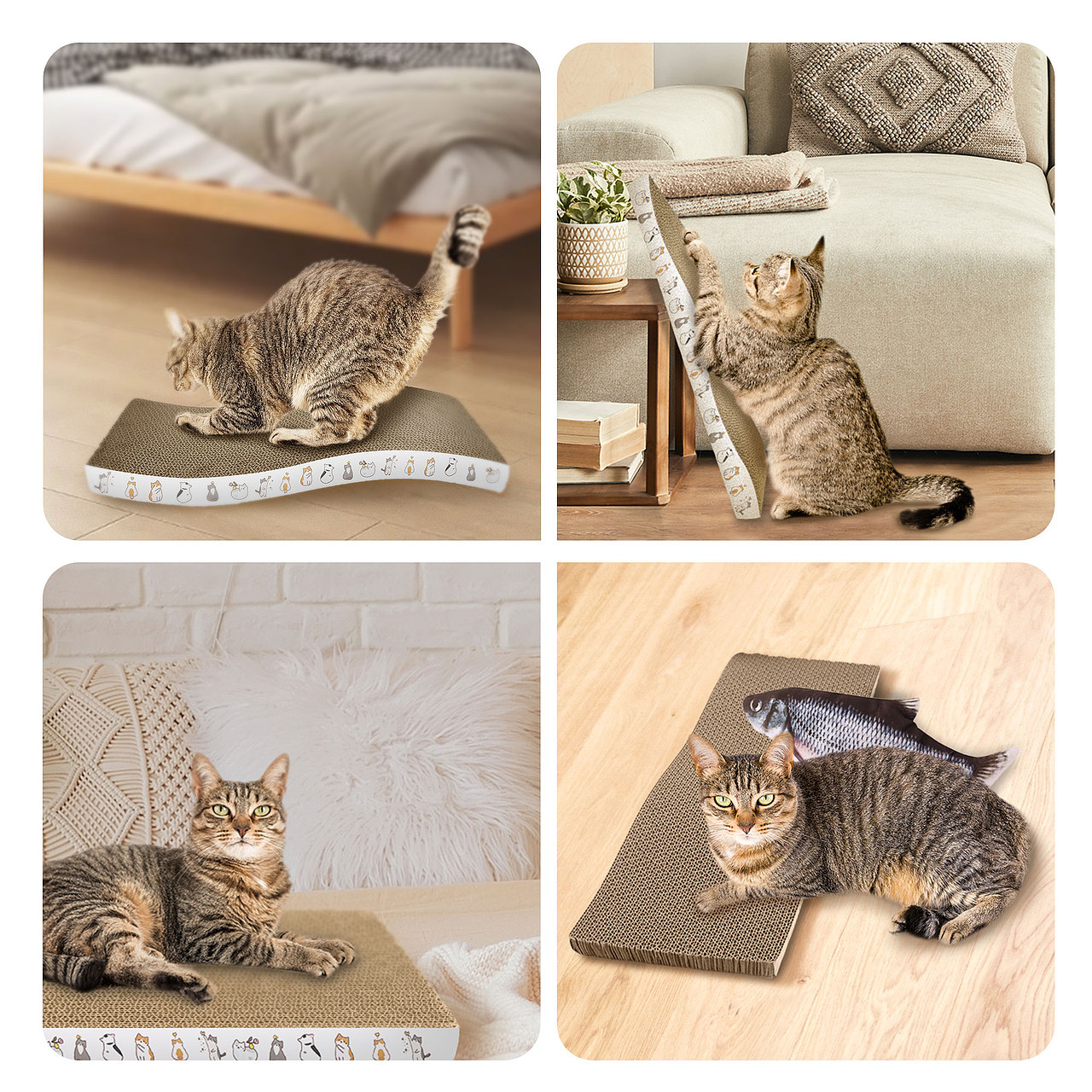 亚马逊跨境电商-猫爪版 寄拍+精修+3D