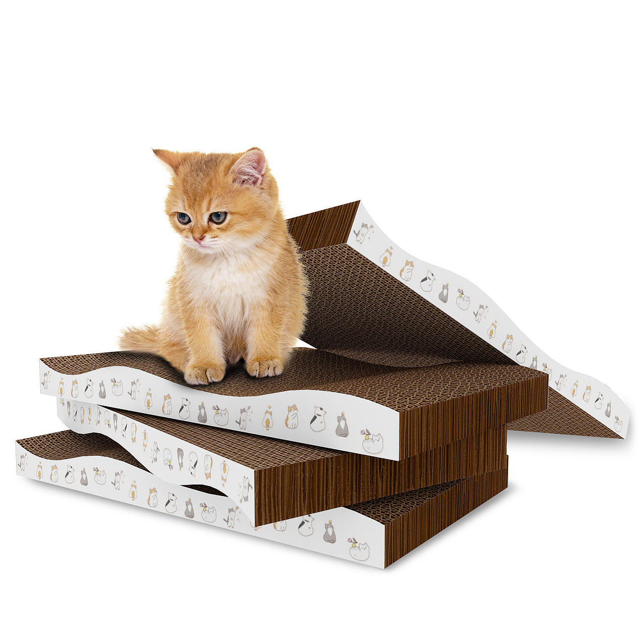 亚马逊跨境电商-猫爪版 寄拍+精修+3D