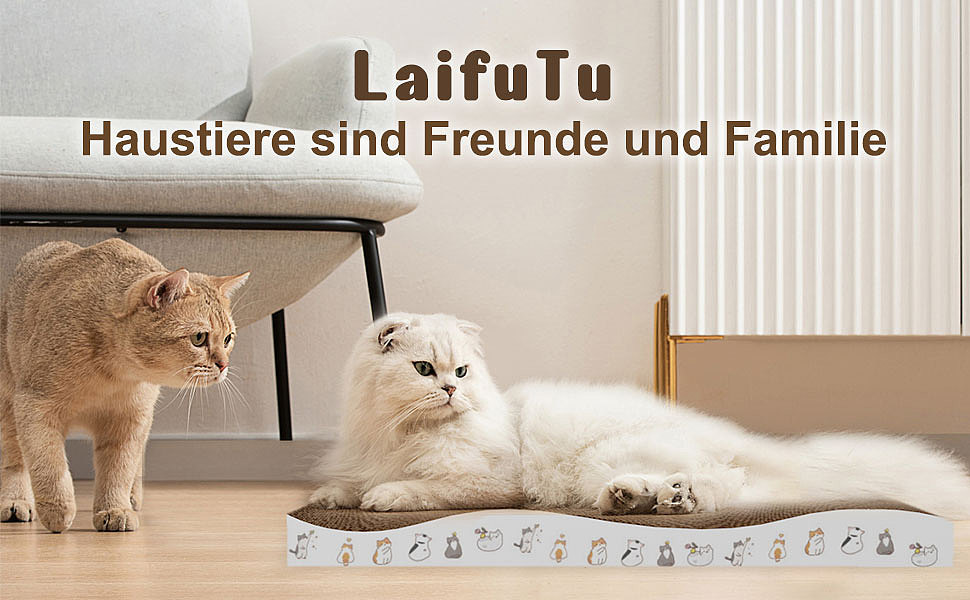 亚马逊跨境电商-猫爪版 寄拍+精修+3D