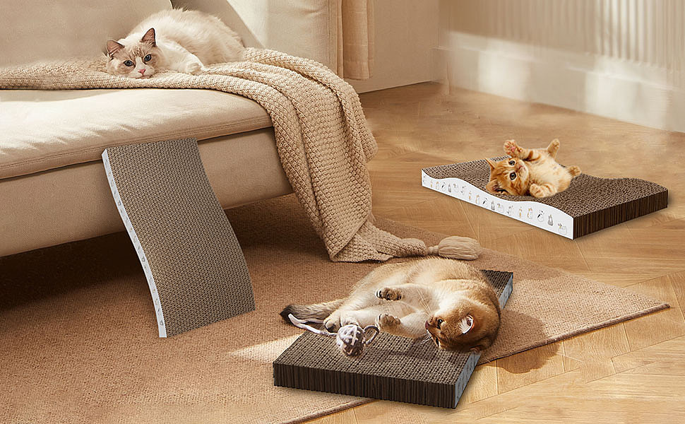 亚马逊跨境电商-猫爪版 寄拍+精修+3D