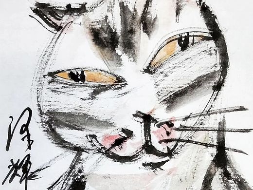于潦草笔触,见猫咪灵动之魂