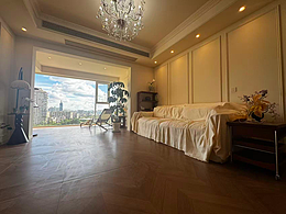 云锦天章4栋 完工落地