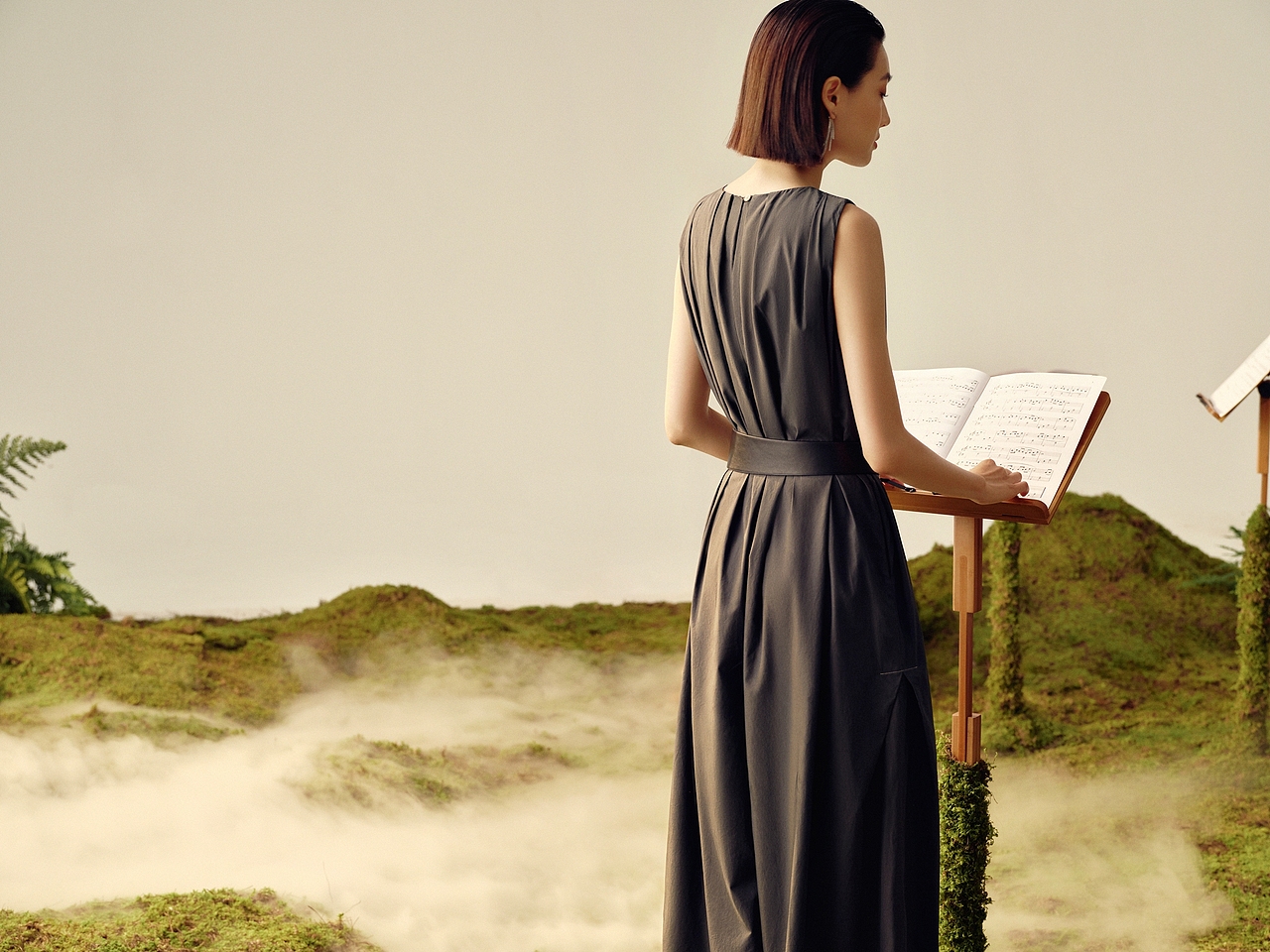 THESEALIFE的夏日音乐会