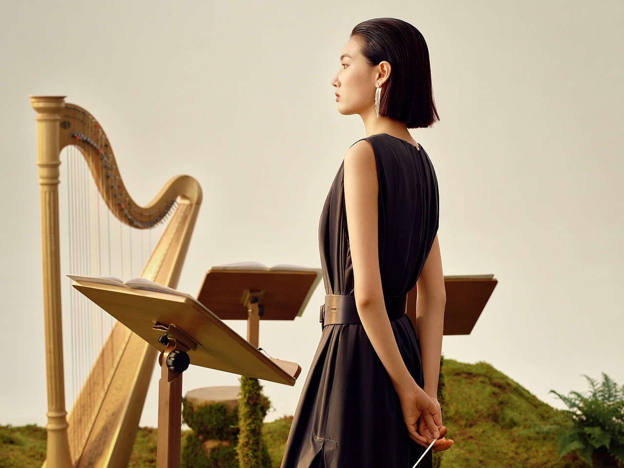 THESEALIFE的夏日音乐会