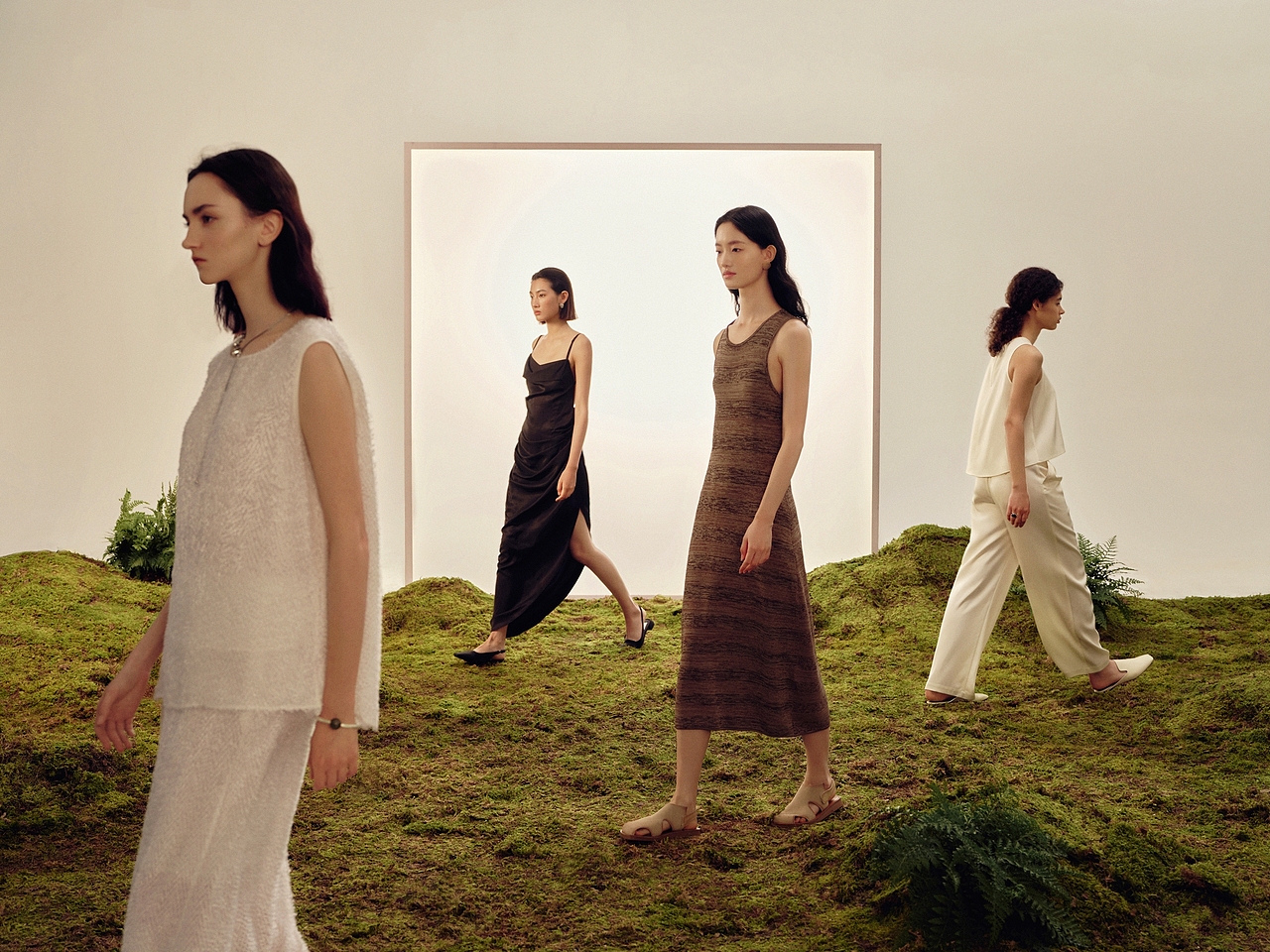 THESEALIFE的夏日音乐会