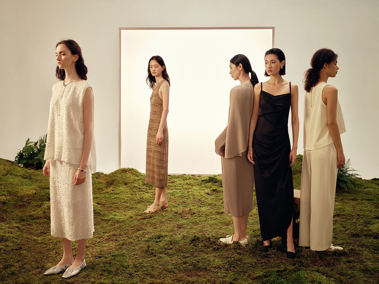 THESEALIFE的夏日音乐会