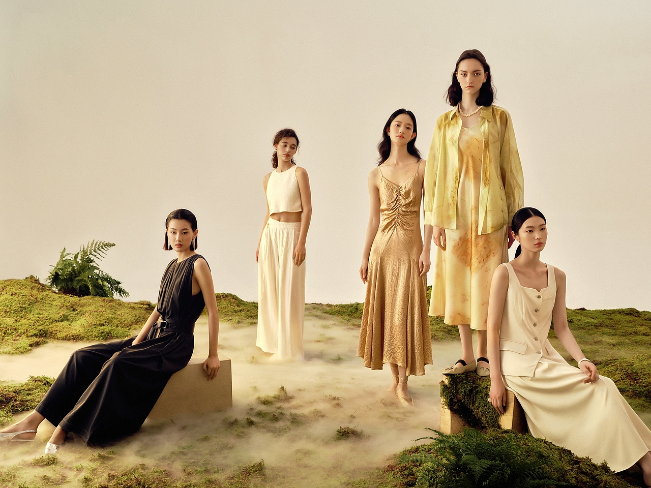 THESEALIFE的夏日音乐会