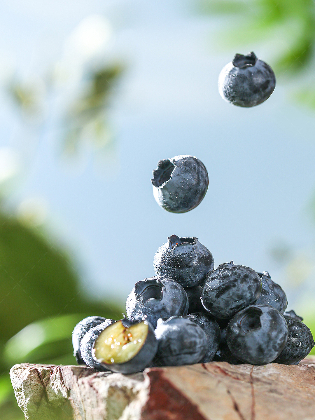 蓝莓拍摄 I 水果拍摄