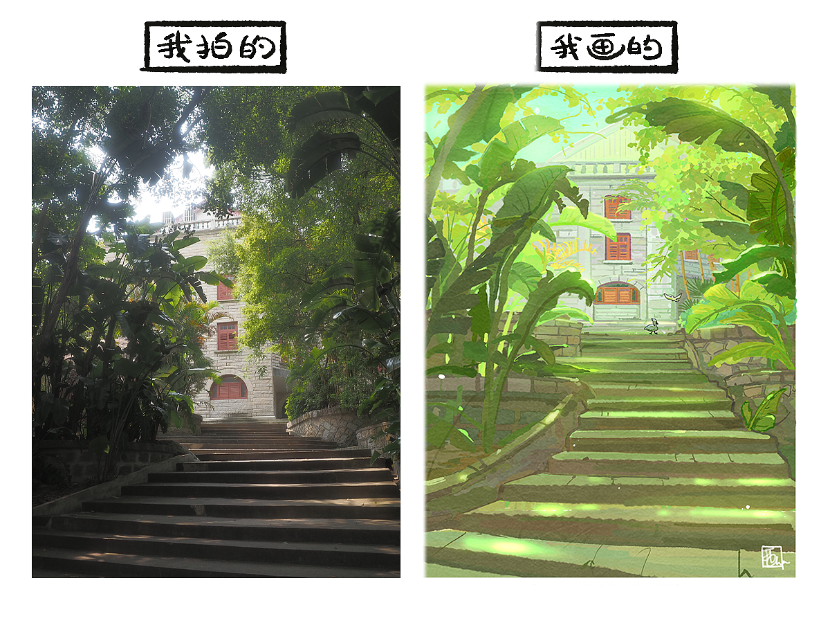 厦大校园的一角