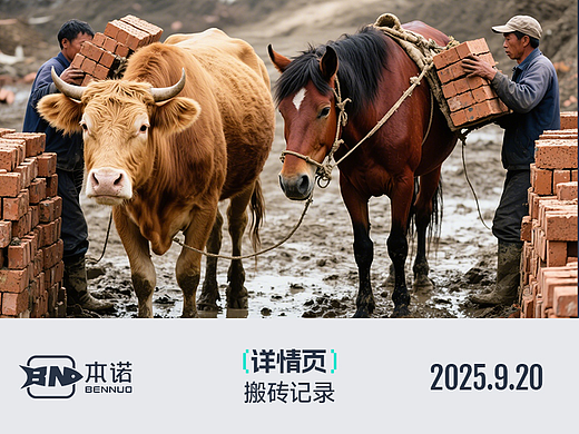 详情页搬砖记录 2025.9.20
