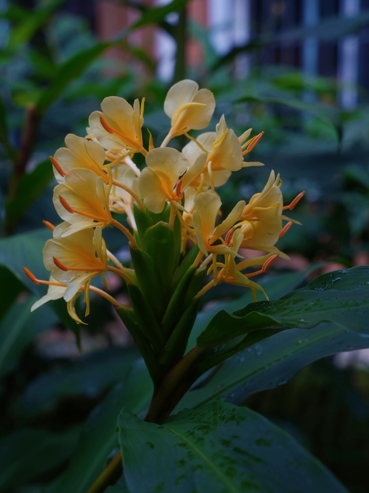 摄影｜扫丛（图ZMzk2NzM2Mzg4） - 风光摄影 - 站酷设计师DARDAN原创素材 - 站酷ZCOOL