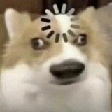 有设计想法的鼠标的头像