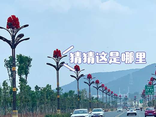 马缨花文化景观路灯
