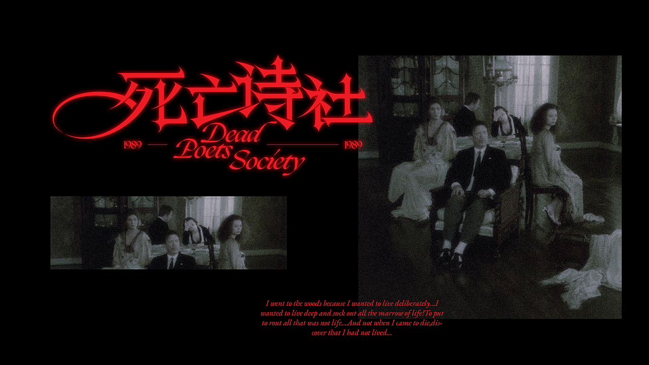 2025字体设计阶段性总结④