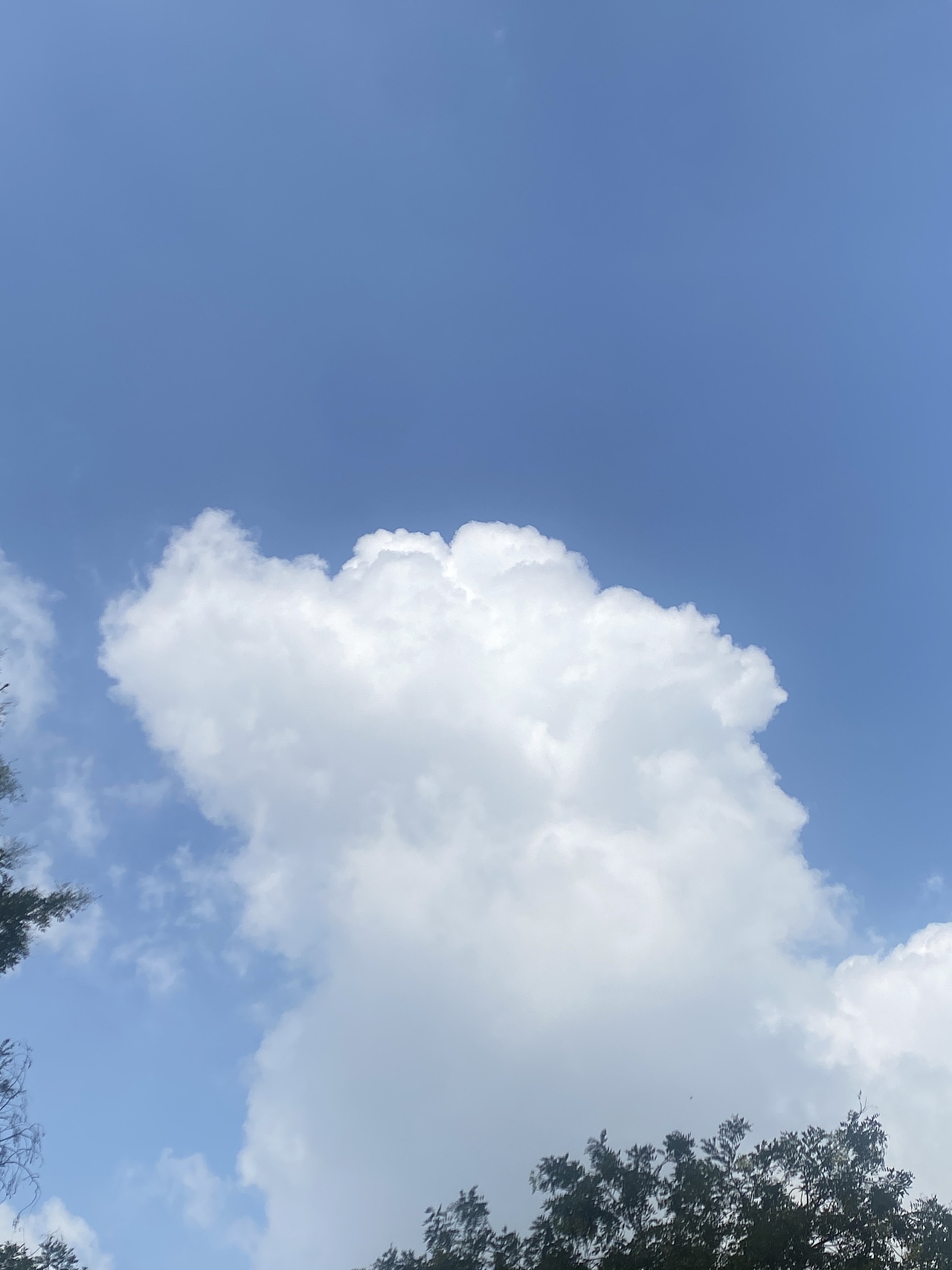 蓝天和白云（图ZMzk2Nzc2MzA4） - 其他 - 站酷设计师薛结结原创素材 - 站酷ZCOOL