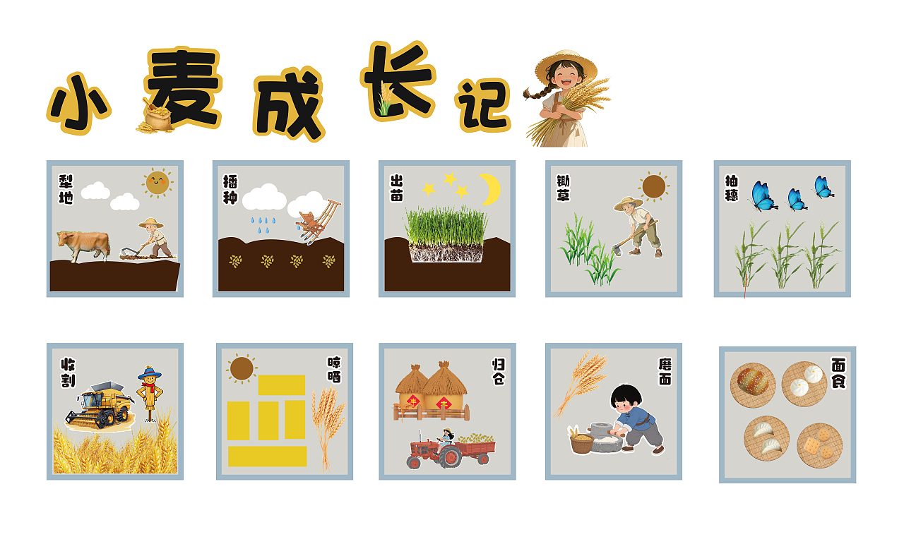 关于幼儿园环创装饰等相关的设计思路和图稿