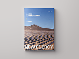 沙特国王科技大学｜光伏新能源课题研究组宣传画册