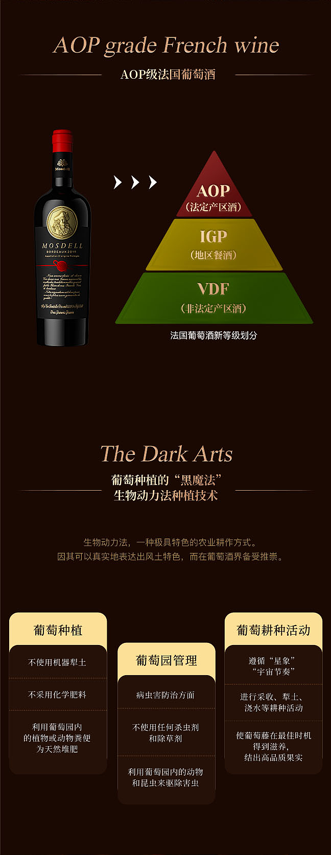 慕思黛尔 | 平面设计与动态视觉作品 2023/12/29