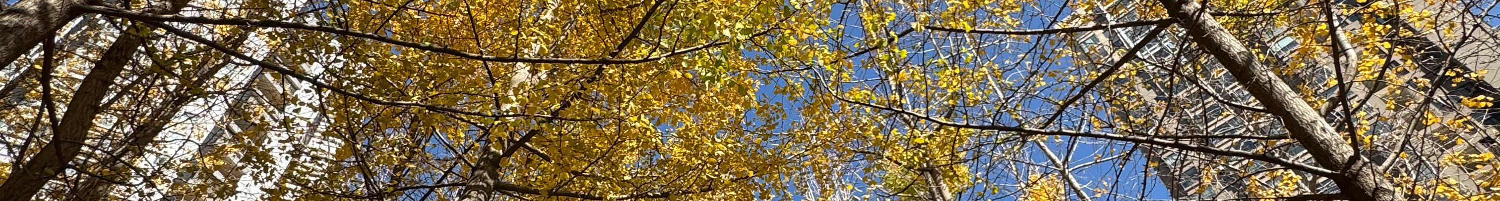 英杰大表姐的个人主页（封面预览） - 主页封面设置 - 站酷设计师英杰大表姐原创素材 - 站酷ZCOOL