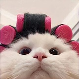 Ann_ln的头像