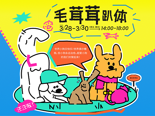 宠物活动kv