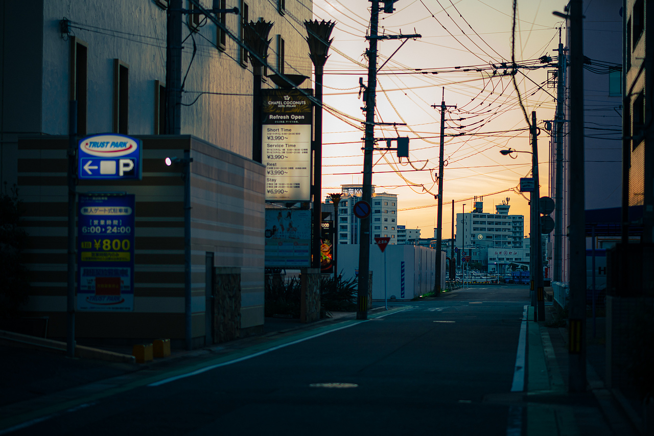 通往码头的小径,刚吃完生鱼,眉头紧锁中