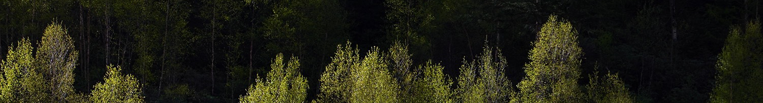 方物fangmu2025的個人主頁（封面預覽） - 主頁封面設置 - 站酷設計師方物fangmu2025原創(chuàng)素材 - 站酷ZCOOL