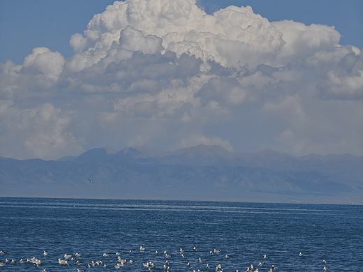 青海湖