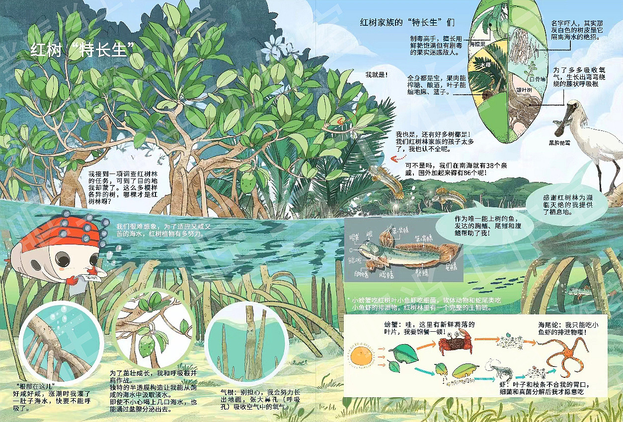 海洋科普绘本（图ZMzk2ODgwNjIw） - 绘本 - 站酷设计师哐当哐当工作室原创素材 - 站酷ZCOOL