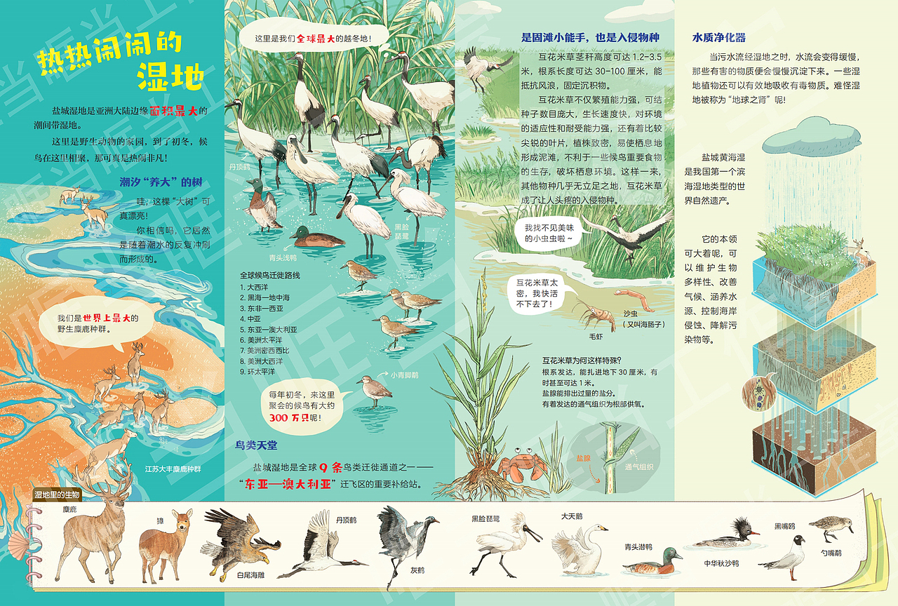 海洋科普绘本（图ZMzk2ODgwNjU2） - 绘本 - 站酷设计师哐当哐当工作室原创素材 - 站酷ZCOOL