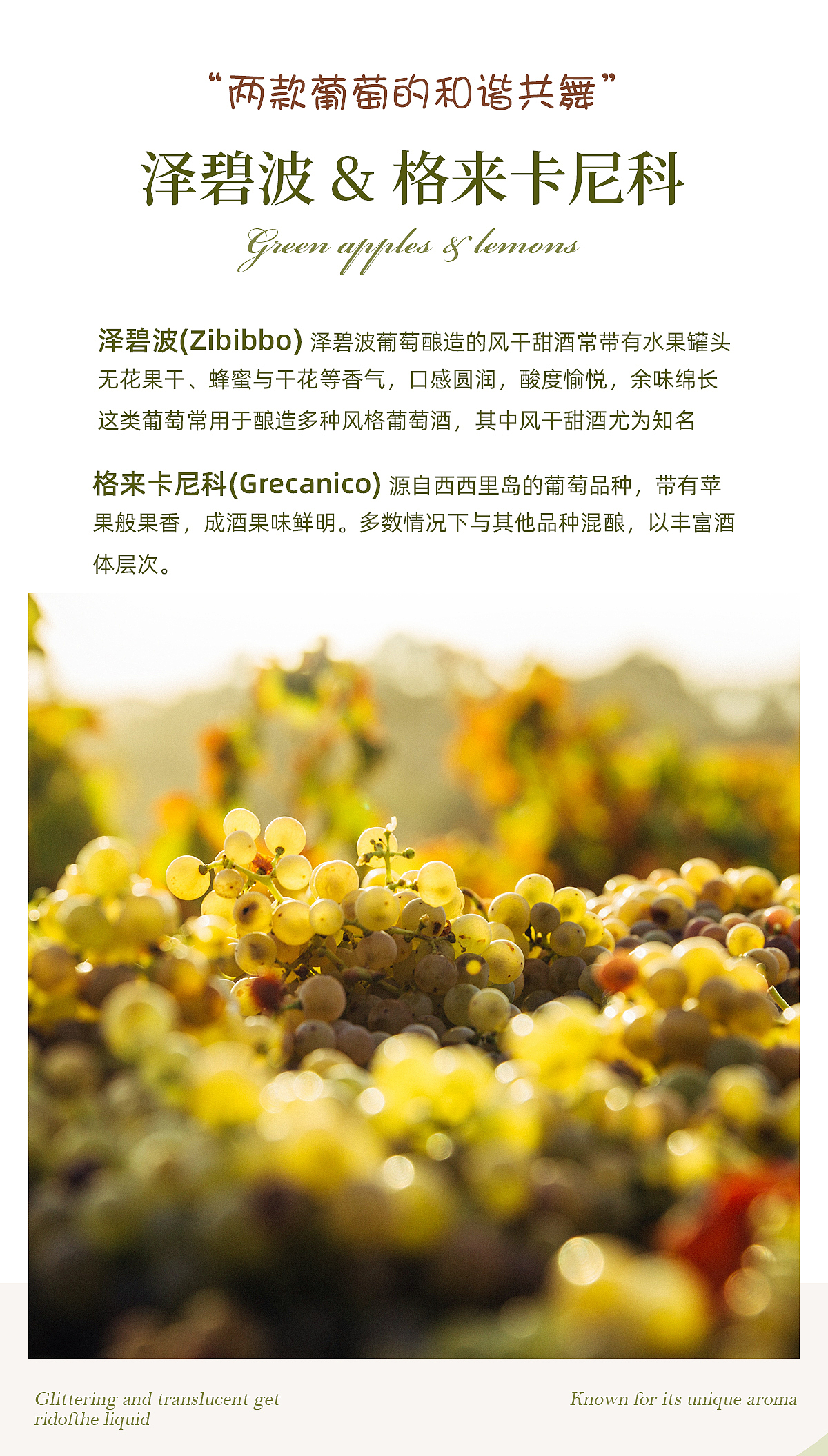 【电商设计】意大利起泡酒详情设计 西西里岛小甜水