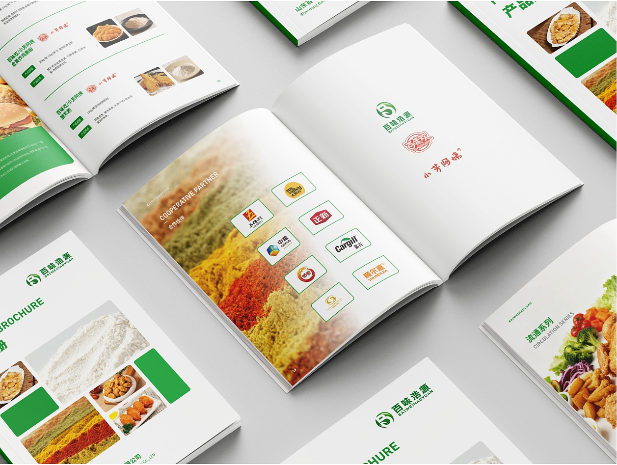 调味料品类产品画册设计