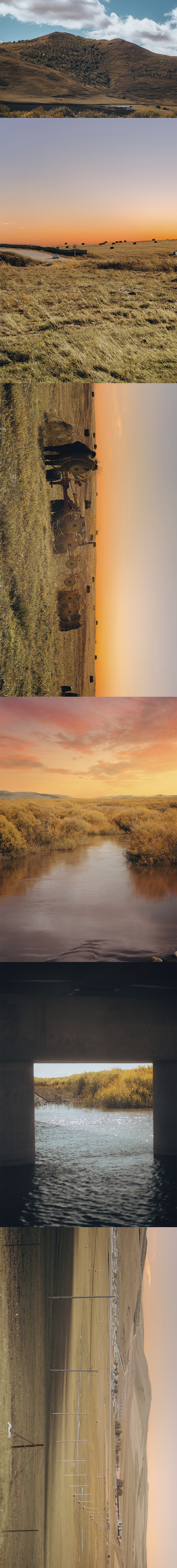 “愿生有去处，苍有归途”