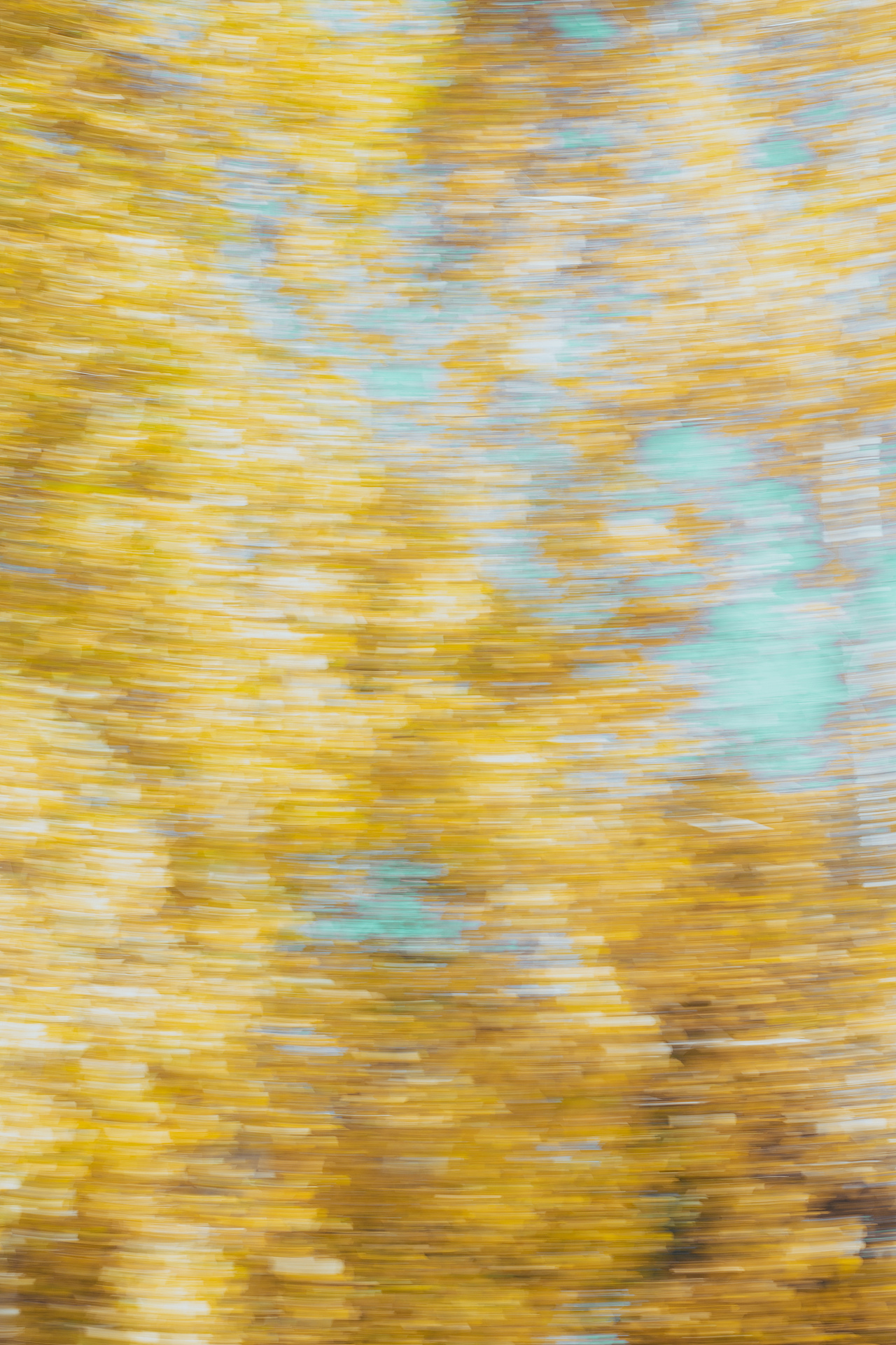 “愿生有去处，苍有归途”