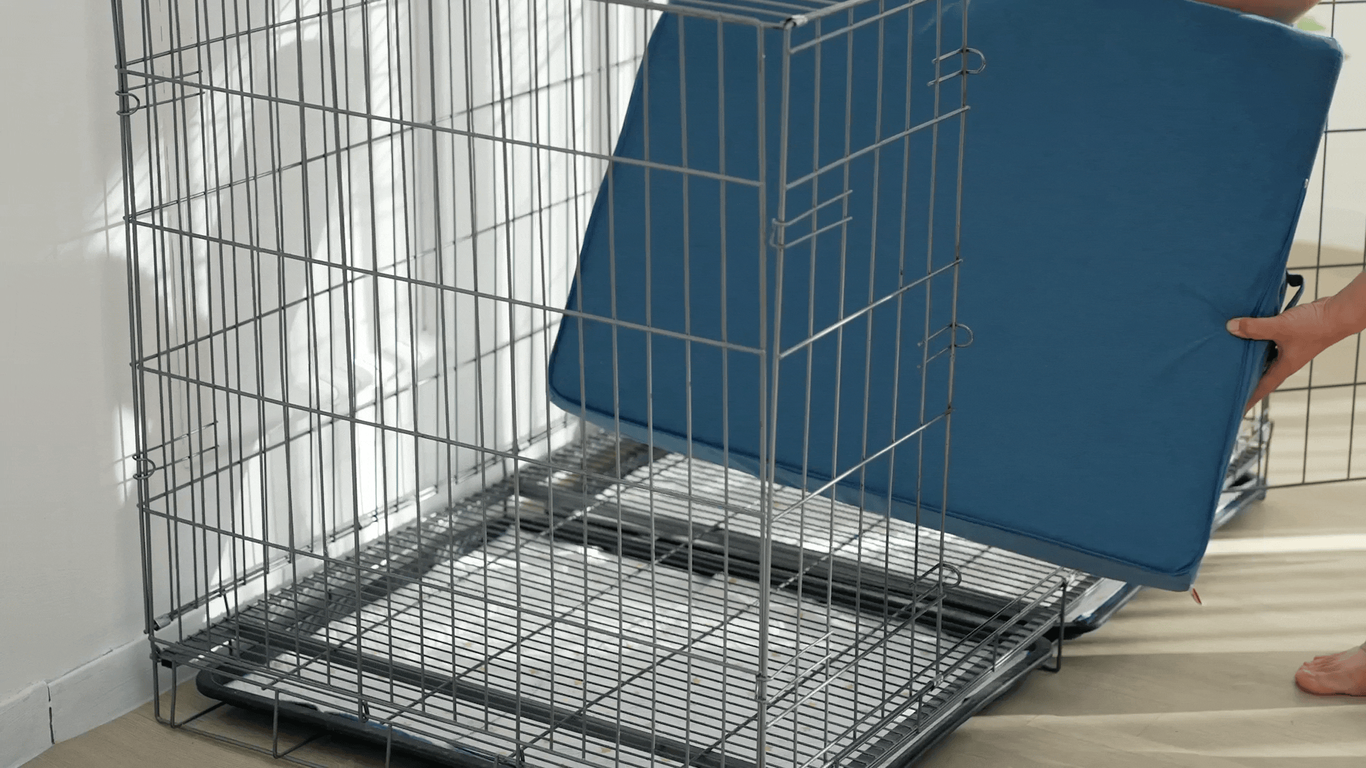 亚马逊宠物楼梯视频丨宠物产品视频丨宠物用品拍摄