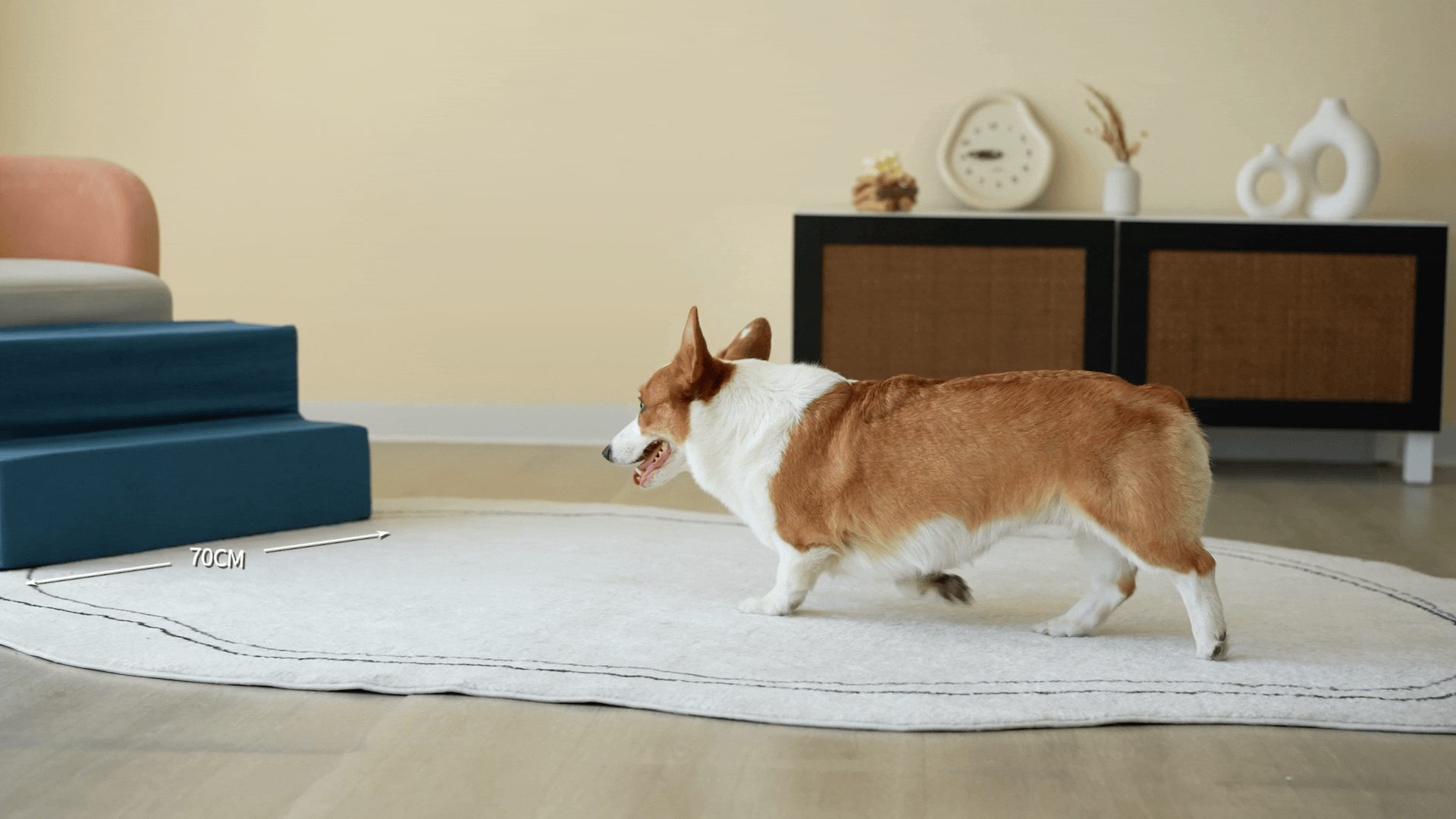 亚马逊宠物楼梯视频丨宠物产品视频丨宠物用品拍摄