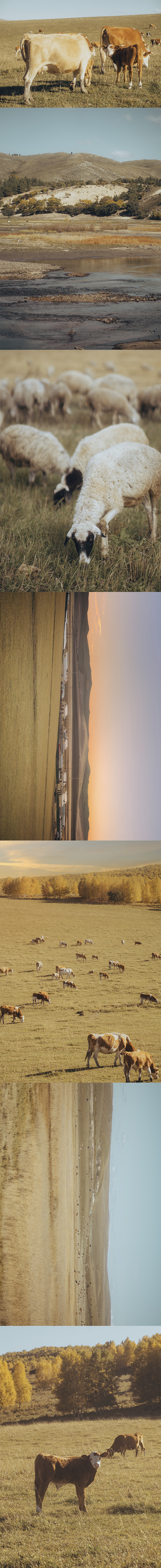 “愿生有去处，苍有归途”