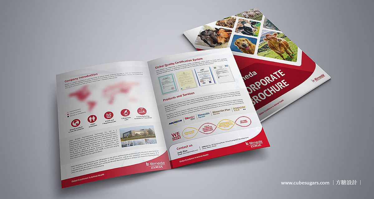 百美达`折页+手提袋