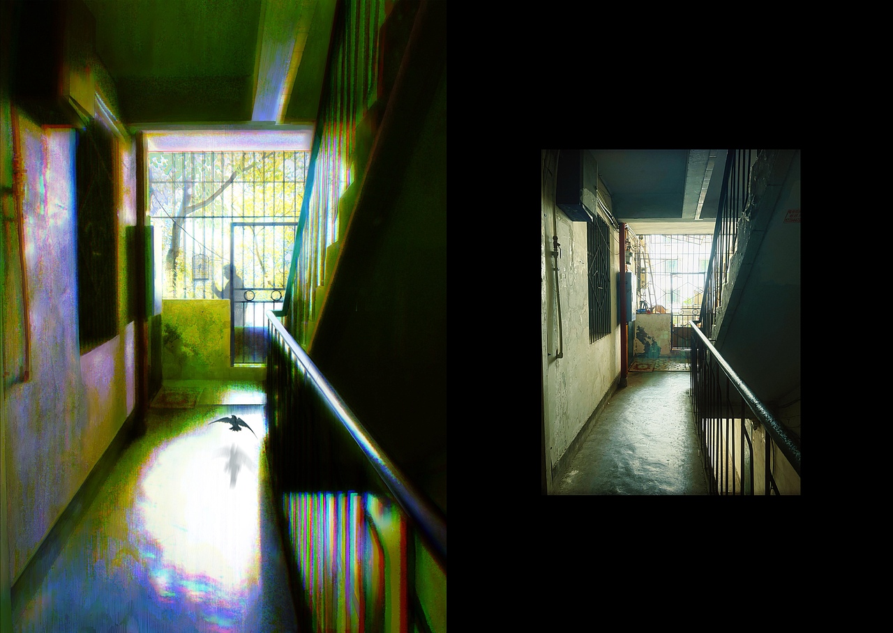 困在记忆的笼子里